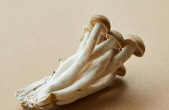 protein sources for vegetarians